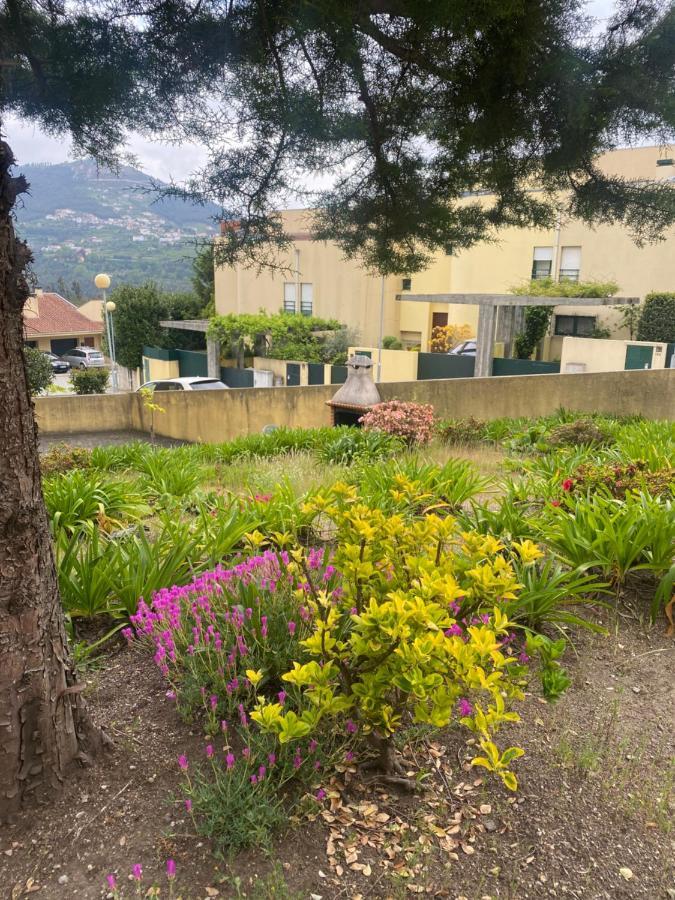 Creaconfort - Casa Do Rio Rio Mau  Εξωτερικό φωτογραφία